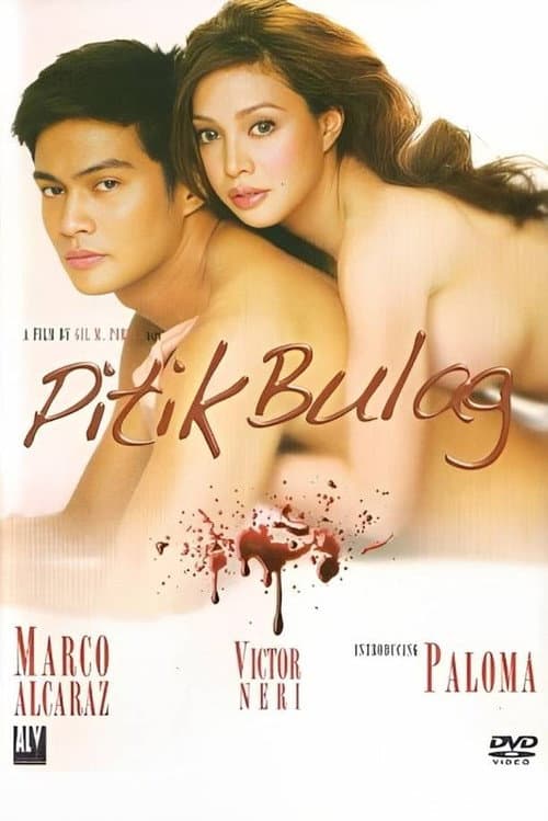 Pitik Bulag poster