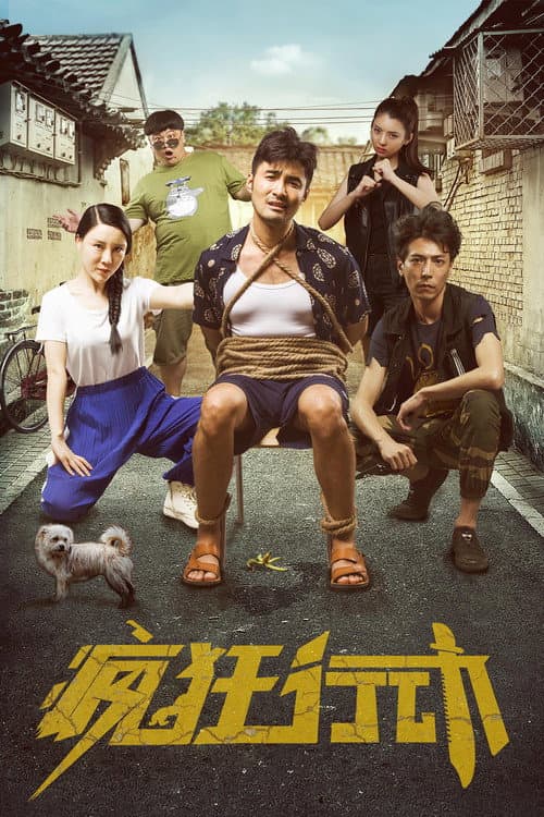 Crazy Action poster