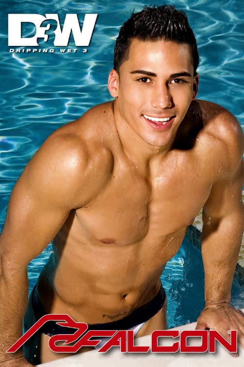 Dripping Wet 3 poster