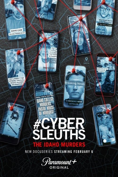 #CyberSleuths: The Idaho Murders poster
