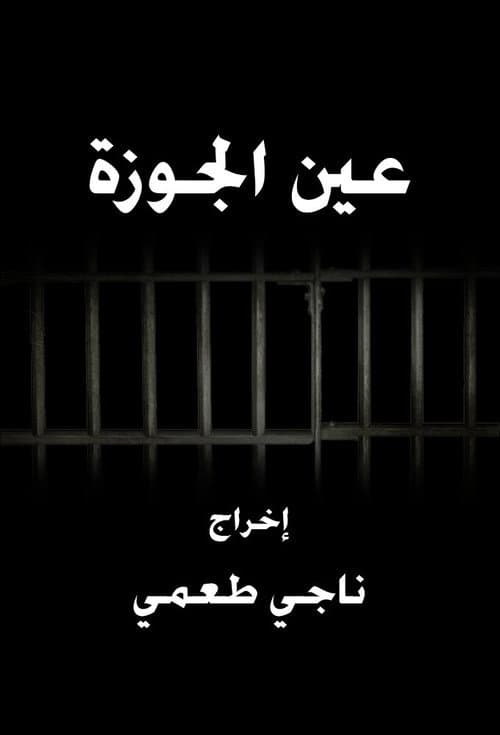 Ain El Jawze poster