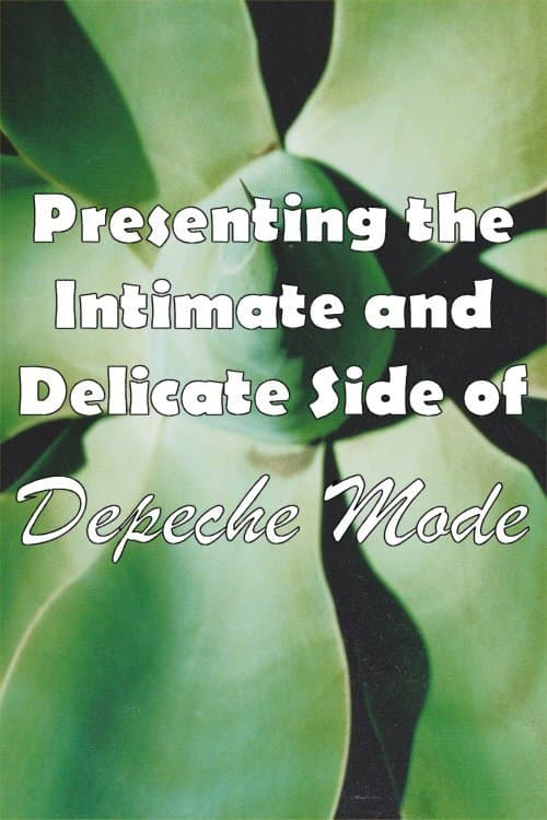 Depeche Mode: 1999–2002 “Presenting the Intimate and Delicate Side of Depeche Mode” poster