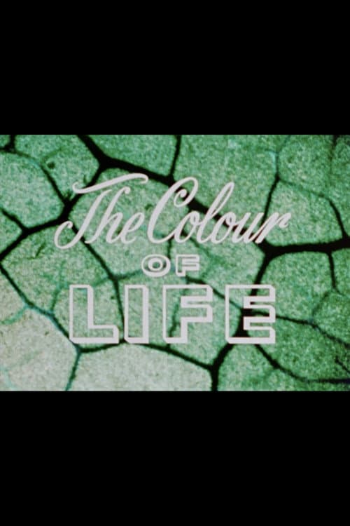 The Colour of Life poster