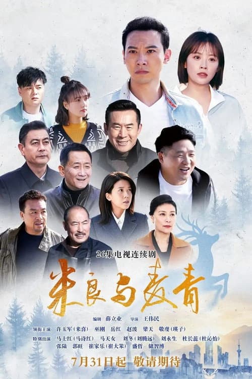 米良与麦青 poster