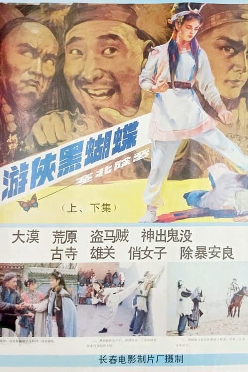 Warrioress Errant Hei Hudie poster