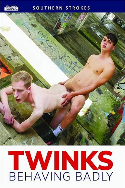 Twinks Behaving Badly poster