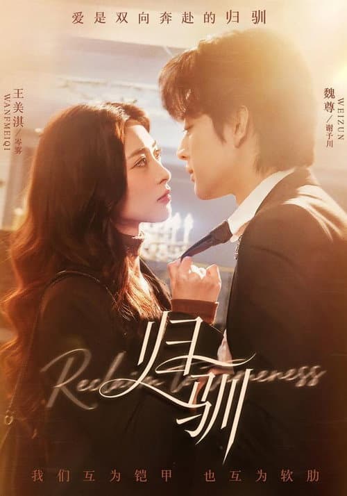 归驯 poster