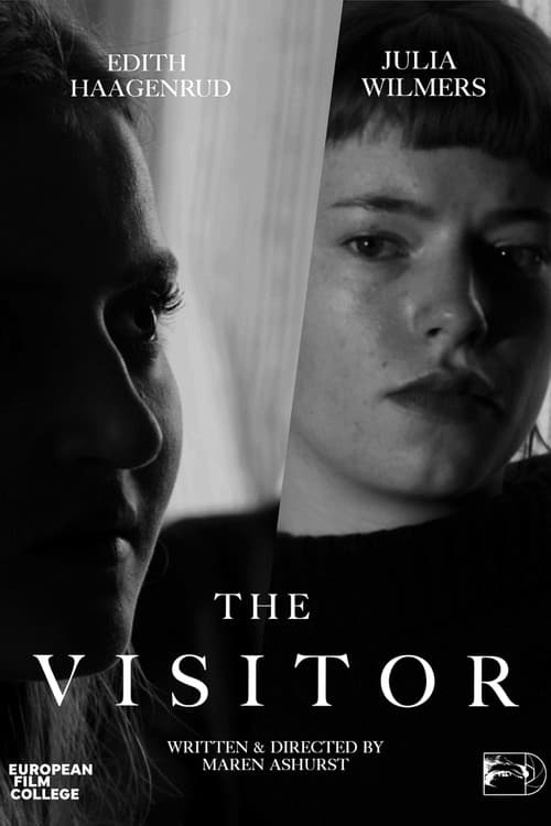 The Visitor poster