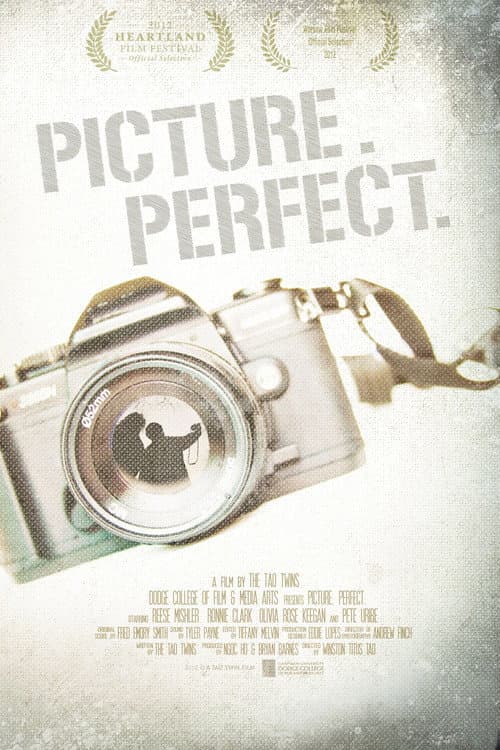 Picture. Perfect. poster