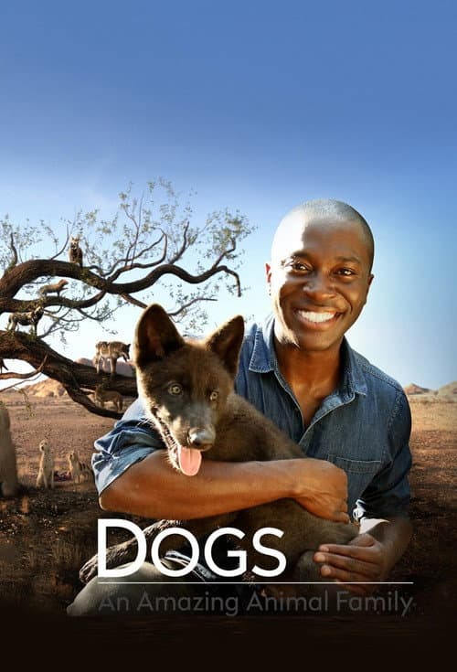 Dogs: An Amazing Animal Family poster