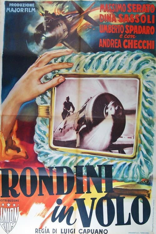 Rondini in volo poster