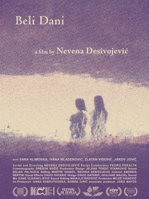 Bright Summer Days poster