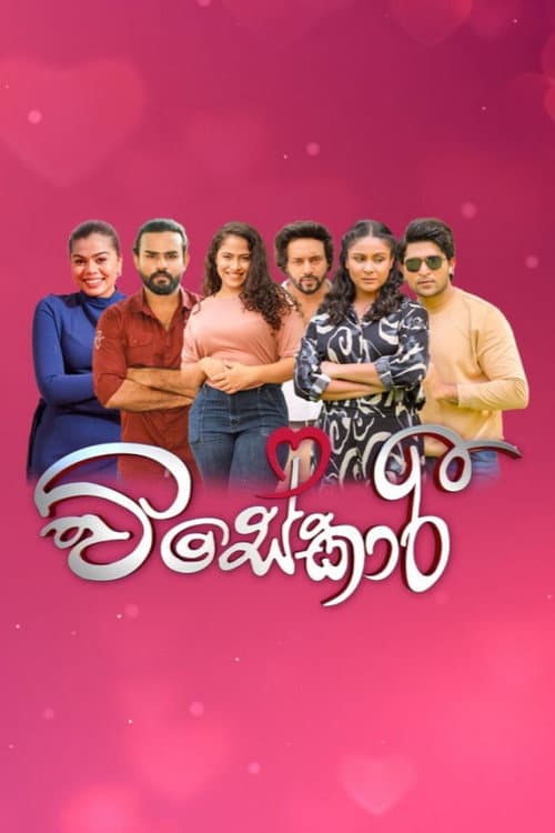 Visekari poster