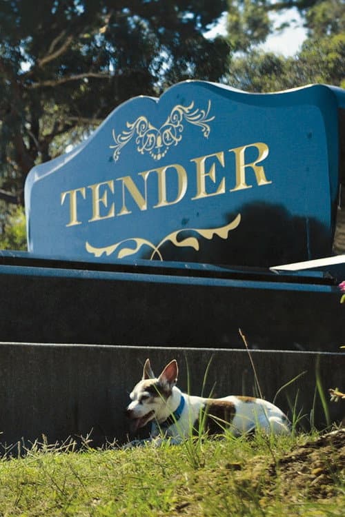 Tender poster