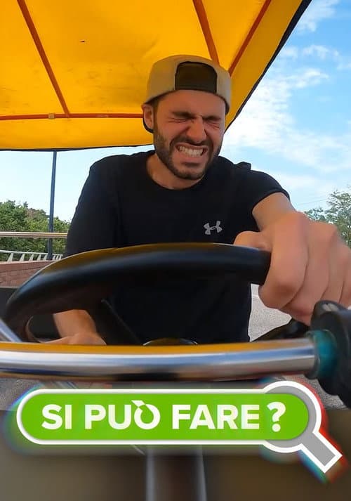 theShow: Si Può Fare? poster
