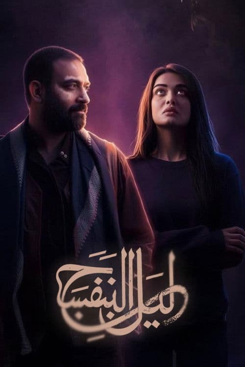 Violet Night poster