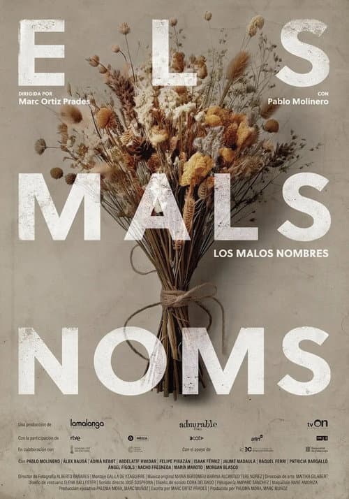 Els mals noms poster