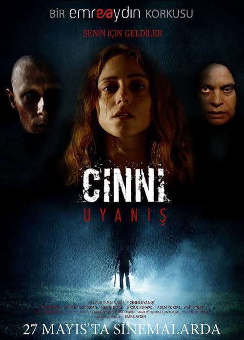 Cinni: Uyanış poster