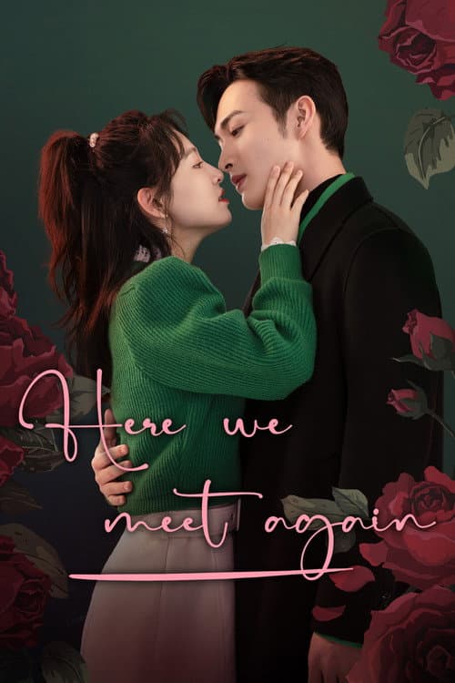 Here We Meet Again poster