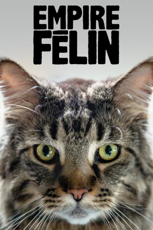 Cat Empire poster