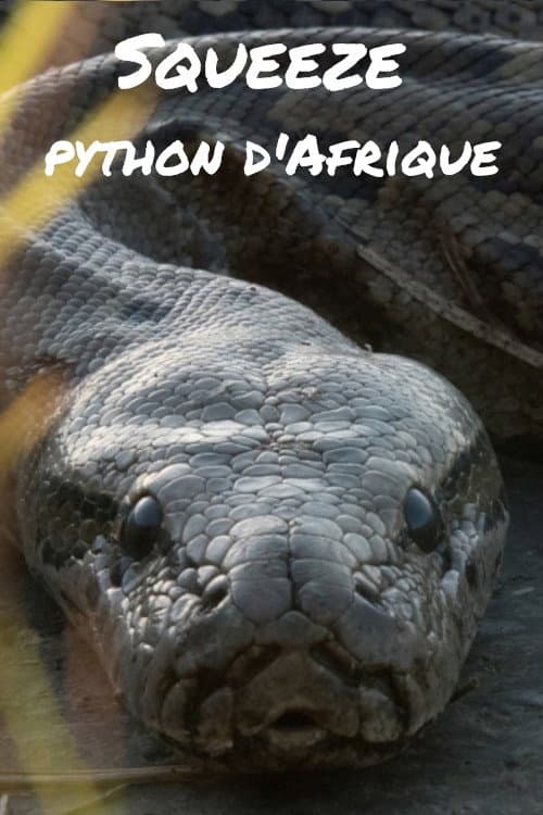 Squeeze: African Python poster