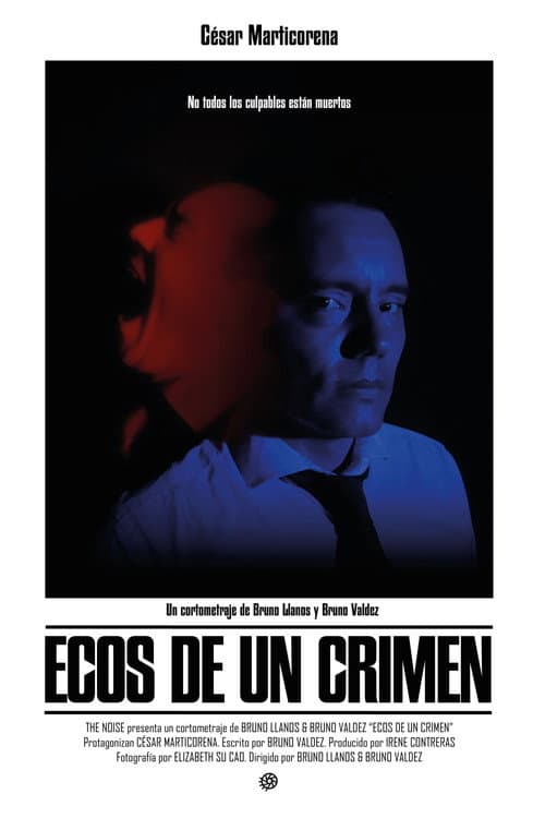 Echoes Of A Crime poster