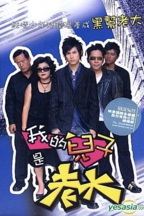 我的儿子是老大 poster