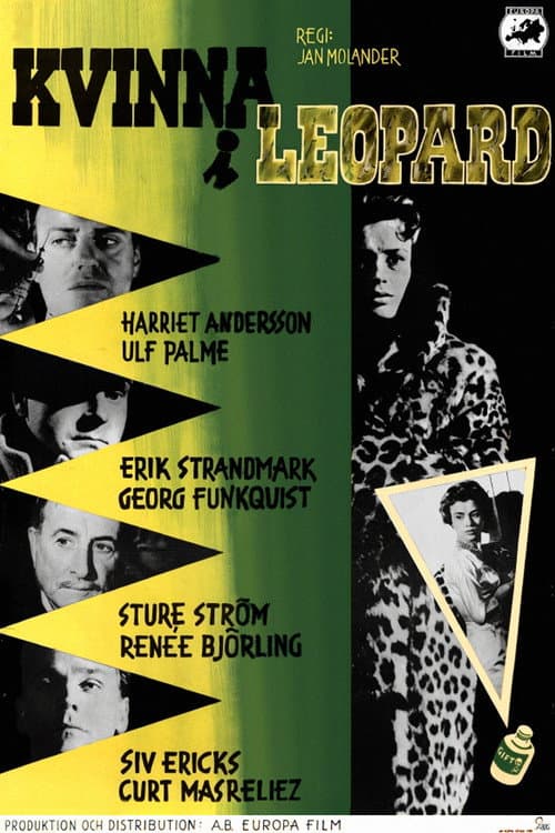 Woman in a Fur Coat poster