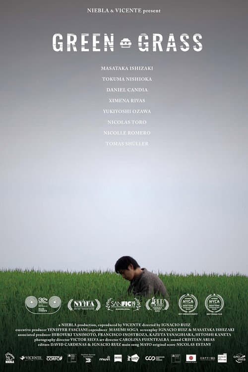 Green Grass poster