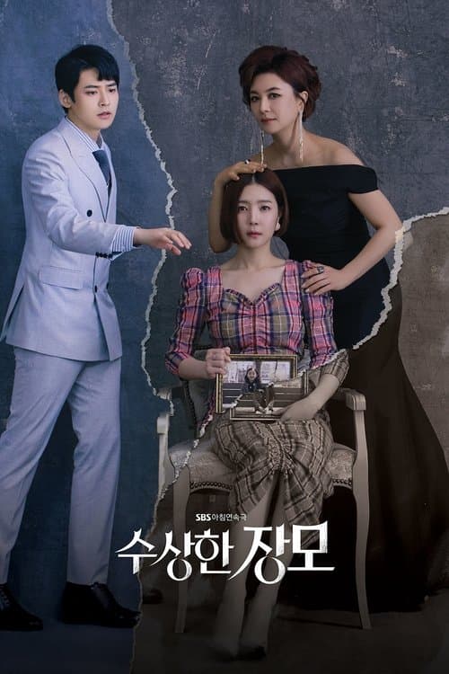 Shady Mom-in-Law poster