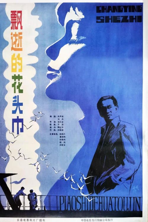 飘逝的花头巾 poster