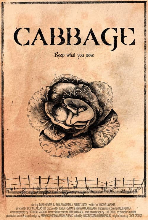 Cabbage poster