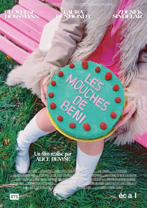 Les Mouches de Beni poster