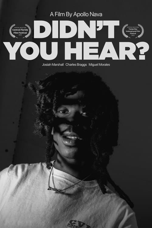 Didn't You Hear? poster