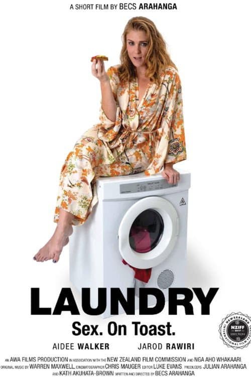 Laundry poster