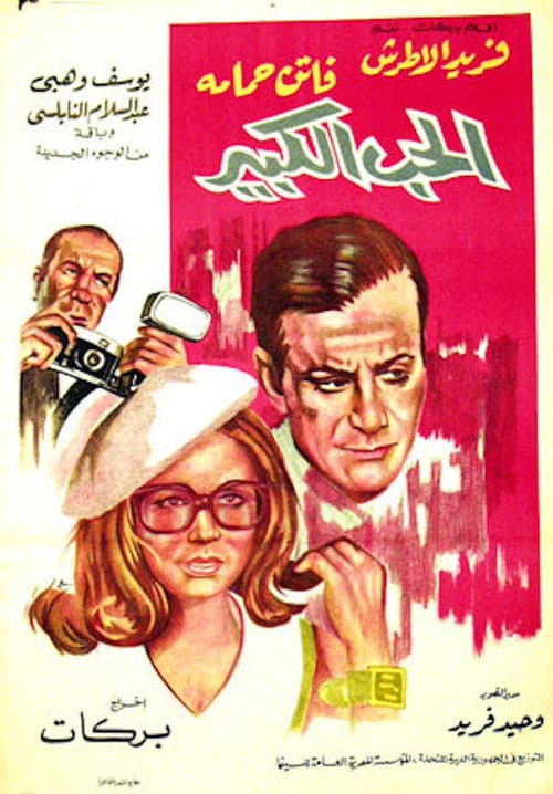 Big Love poster