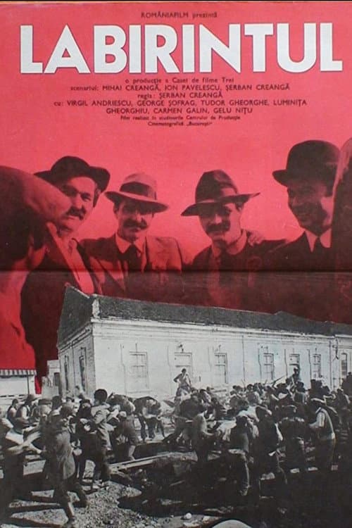 Labirintul poster