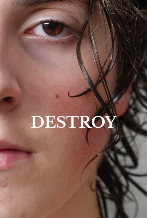 Destroy poster