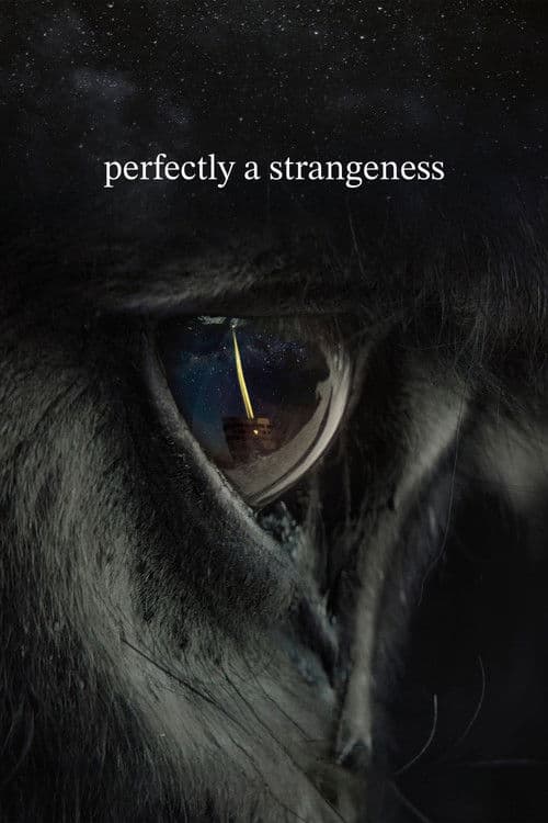 perfectly a strangeness poster