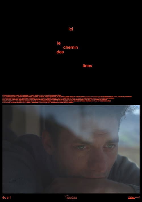 Stone Age poster