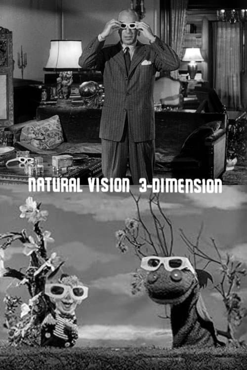 Natural Vision 3-Dimension poster