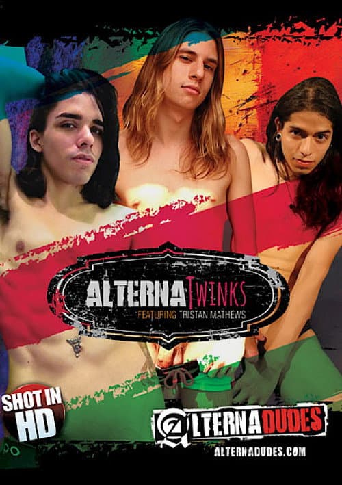 AlternaTwinks poster