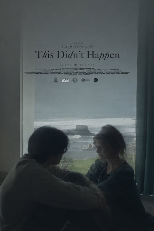 This Didn't Happen poster