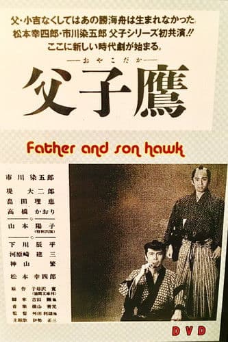 Father and Son Hawk poster