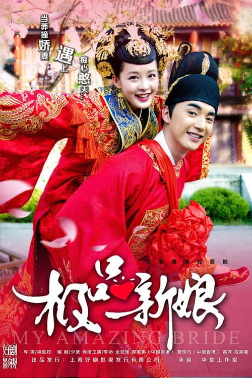 My Amazing Bride poster