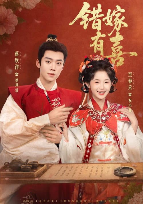 错嫁有喜 poster