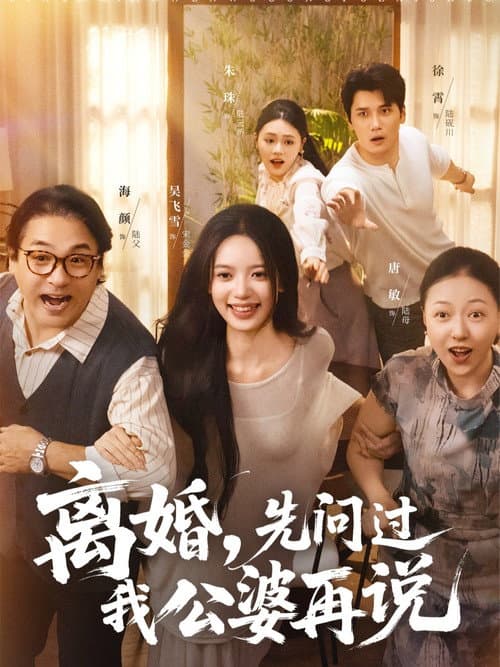 离婚，先问过我公婆再说 poster
