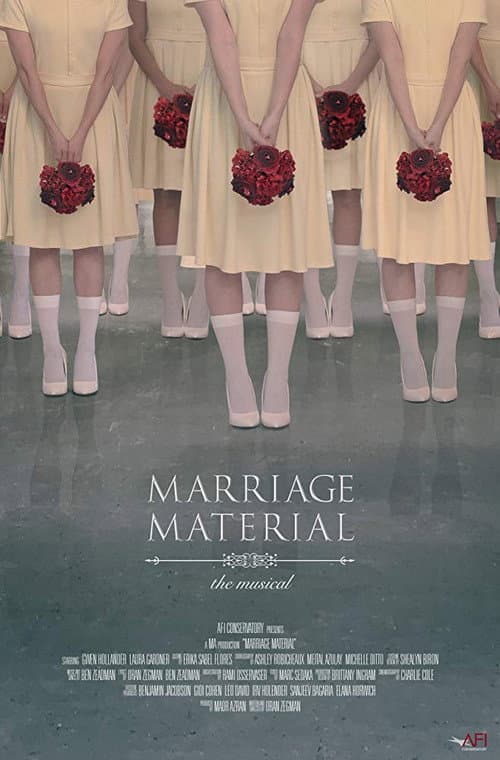 Marriage Material poster