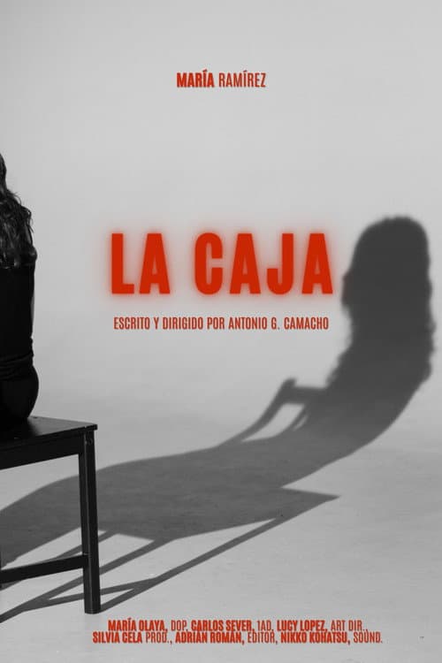 La Caja poster