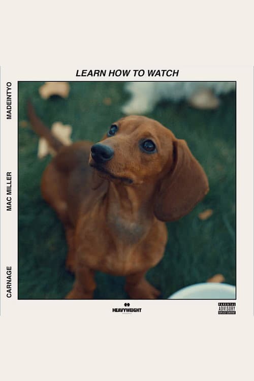 Learn How to Watch poster